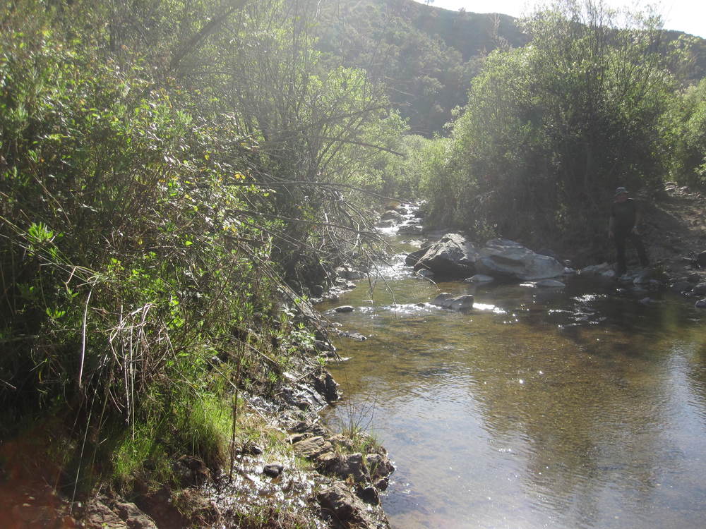 Still plenty of water in the Rio Ojén<br /><a href=photo16.kml>See on Google Earth</a><br /><br />