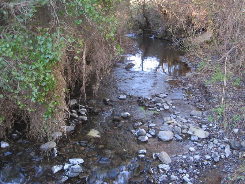 Stream near the Rehabilitation Centre<br /><a href="photo06.kml">See on Google Earth</a>