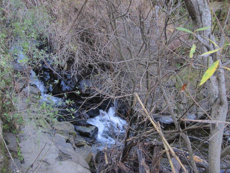 Stream near the Rehabilitation Centre<br /><a href="photo07.kml">See on Google Earth</a>