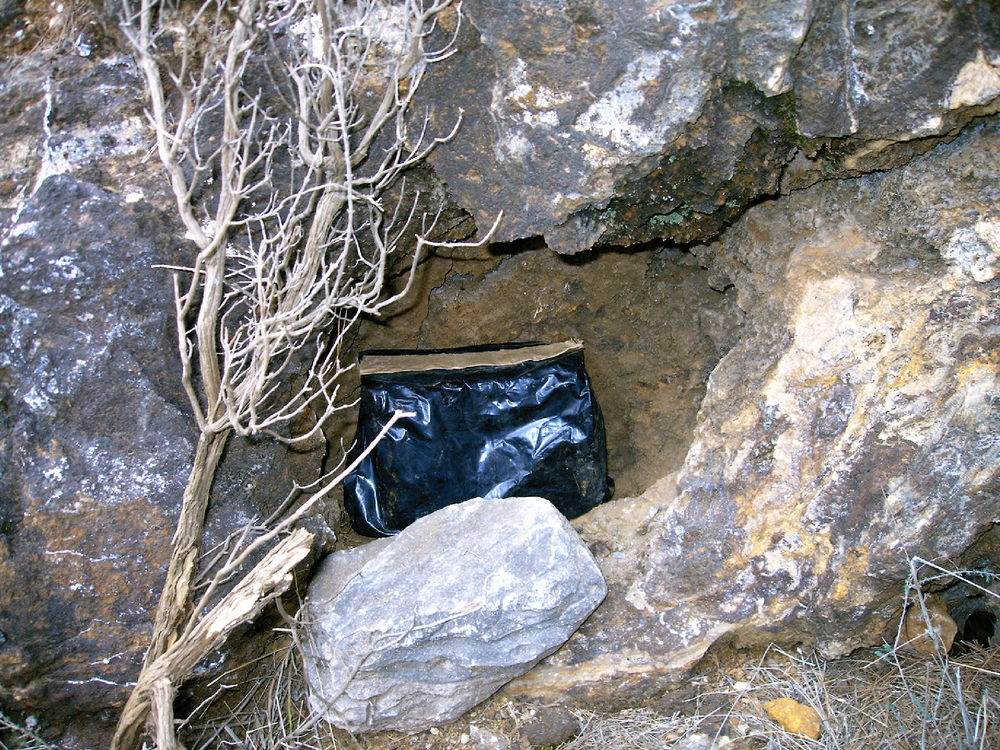 Is this the cache?<br /><a href="photo04.kml">See on Google Earth</a><br /><br />