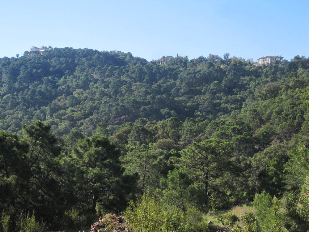 Forest and a house on the hill<br /><a href="photo01.kml">See on Google Earth</a><br /><br />