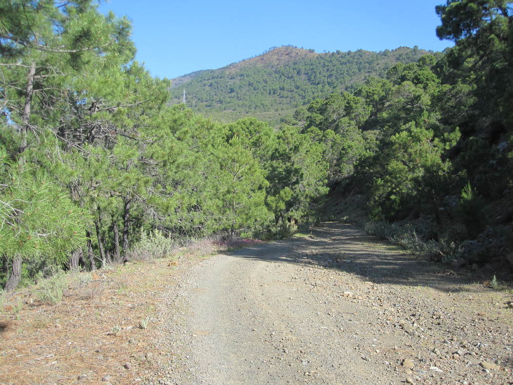 Plenty of shade on a sunny day<br /><a href="photo04.kml">See on Google Earth</a><br /><br />