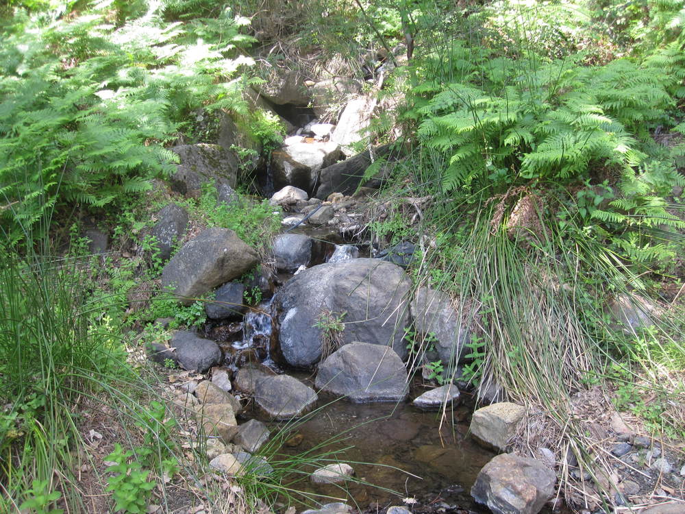 A small waterfall, with frogs<br /><a href="photo11.kml">See on Google Earth</a><br /><br />