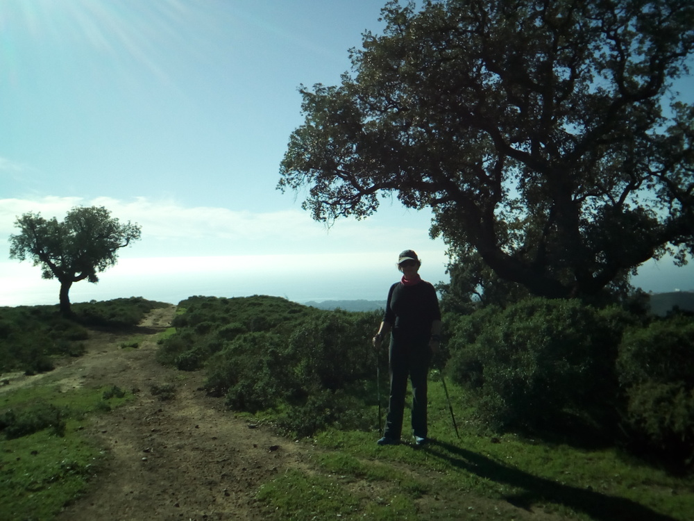 María ready for Nordic Walking<br /><a href="photo01.kml">See on Google Earth</a><br /><br />