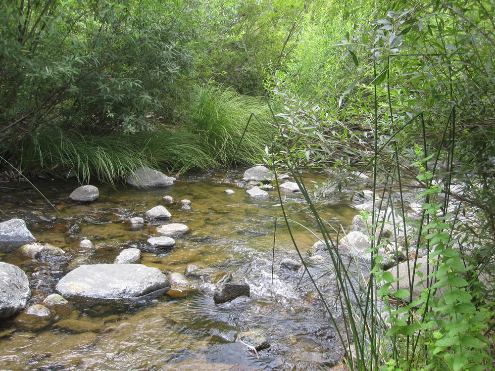 The River Ojén<br /><a href=photo23.kml>See on Google Earth</a><br /><br />