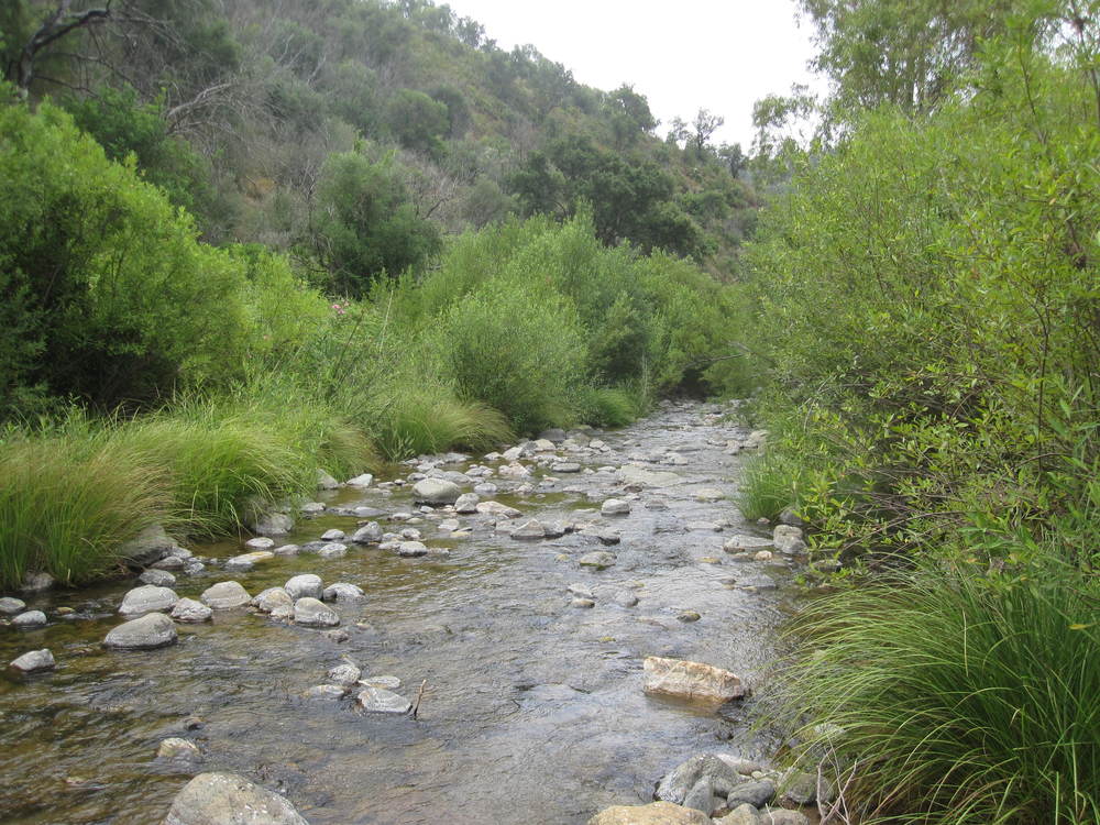 The River Ojén<br /><a href=photo24.kml>See on Google Earth</a><br /><br />