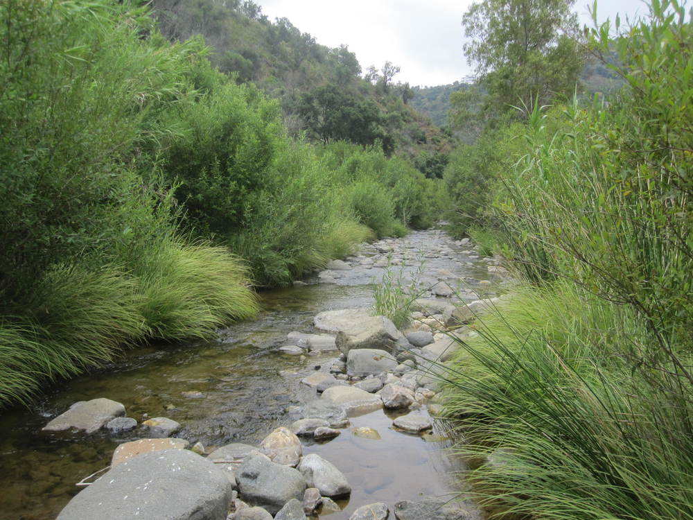 The River Ojén<br /><a href=photo25.kml>See on Google Earth</a><br /><br />