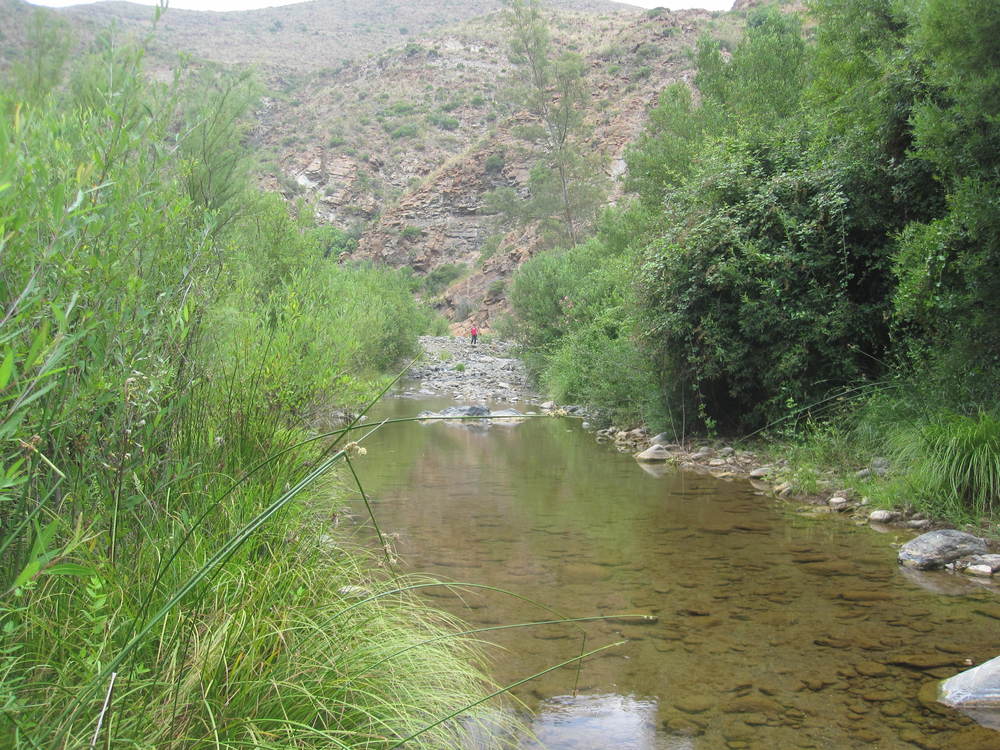 The River Ojén<br /><a href=photo26.kml>See on Google Earth</a><br /><br />