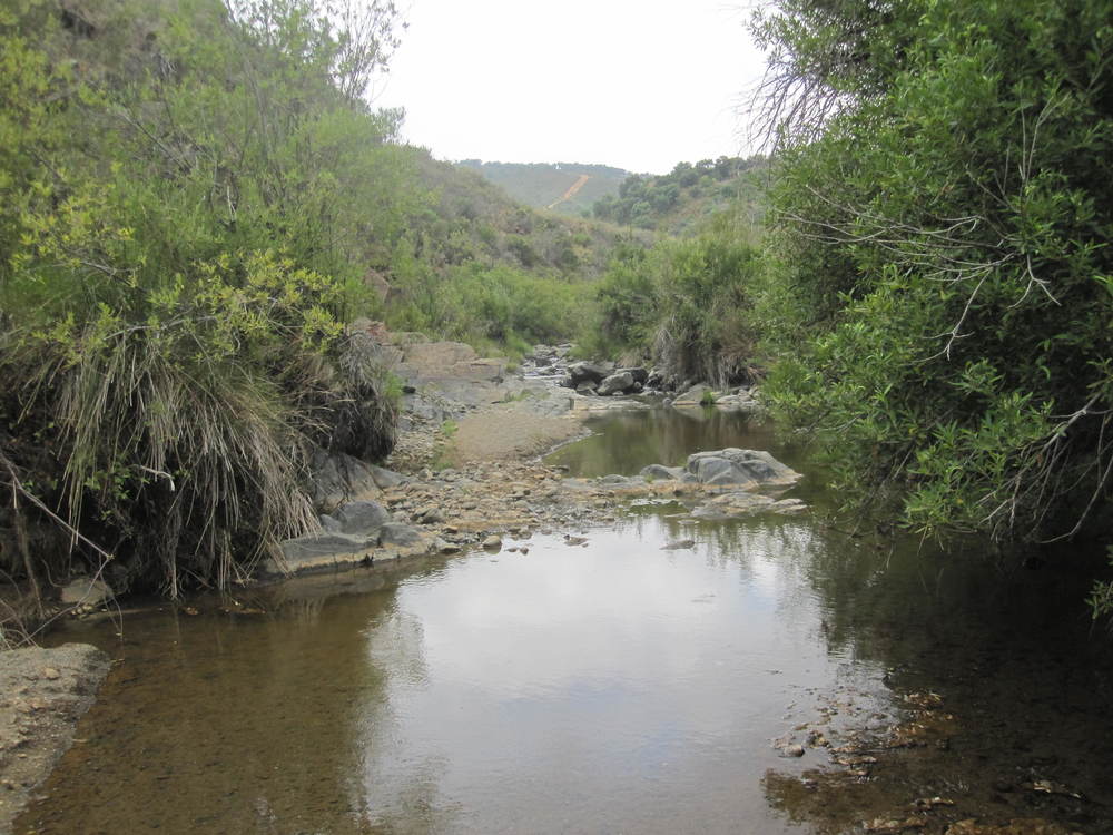 The River Ojén<br /><a href=photo28.kml>See on Google Earth</a><br /><br />