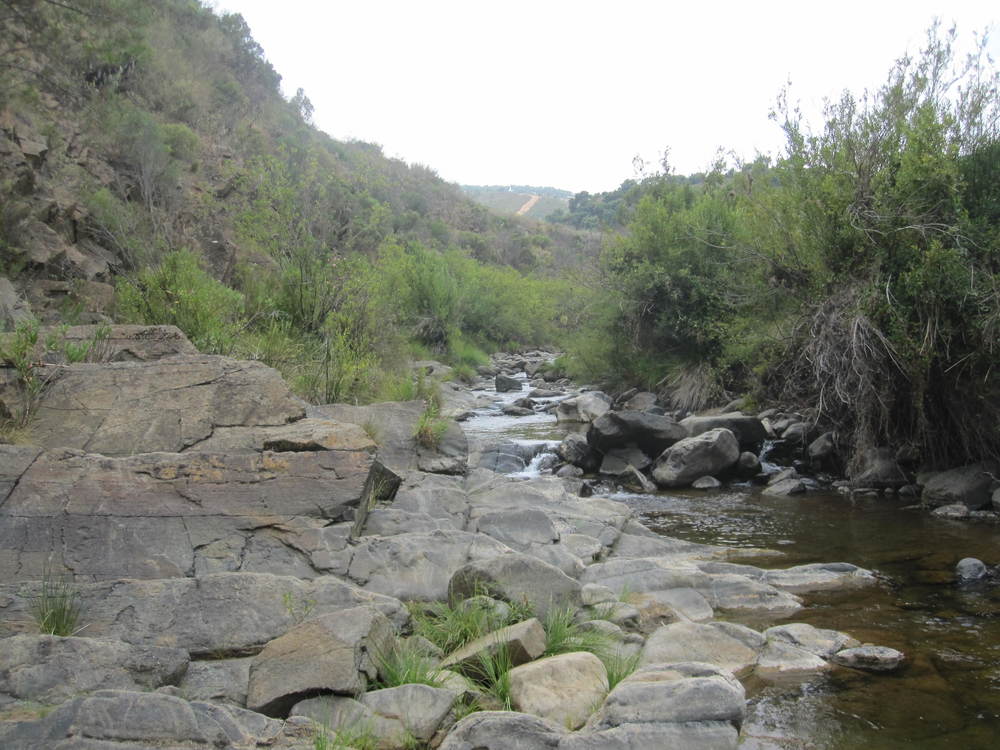 The River Ojén<br /><a href=photo29.kml>See on Google Earth</a><br /><br />