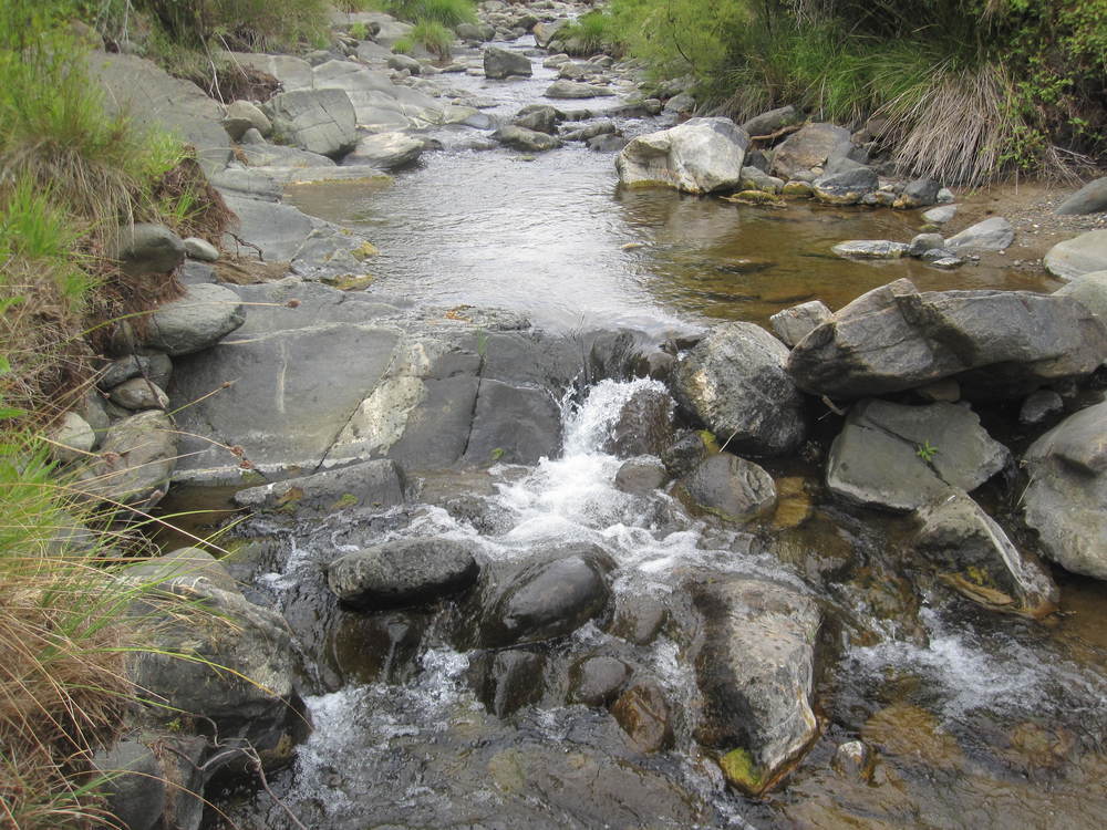 The River Ojén<br /><a href=photo30.kml>See on Google Earth</a><br /><br />