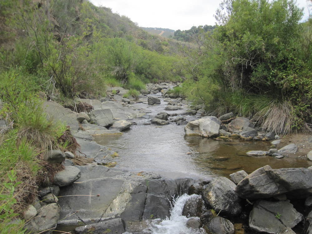 The River Ojén<br /><a href=photo31.kml>See on Google Earth</a><br /><br />