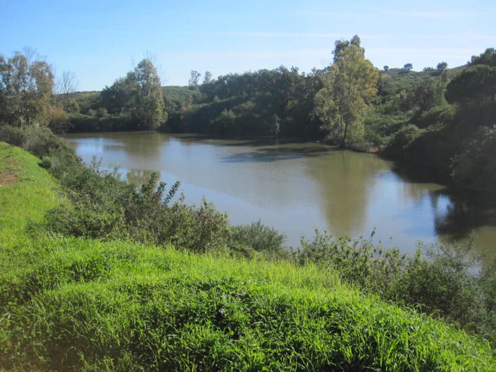 The lake where a crocodile recently roamed<br /><a href="photo06.kml">See on Google Earth</a><br /><br />