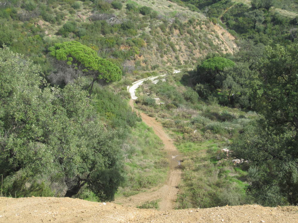 Why did they start building a dual lane path here? There is no building near and it goes nowhere. It ends here<br /><a href="photo06.kml">See on Google Earth</a><br /><br />