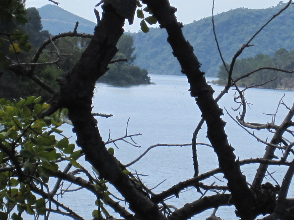 Embalse de la Concepción<br /><a href="photo09.kml">See on Google Earth</a><br /><br />