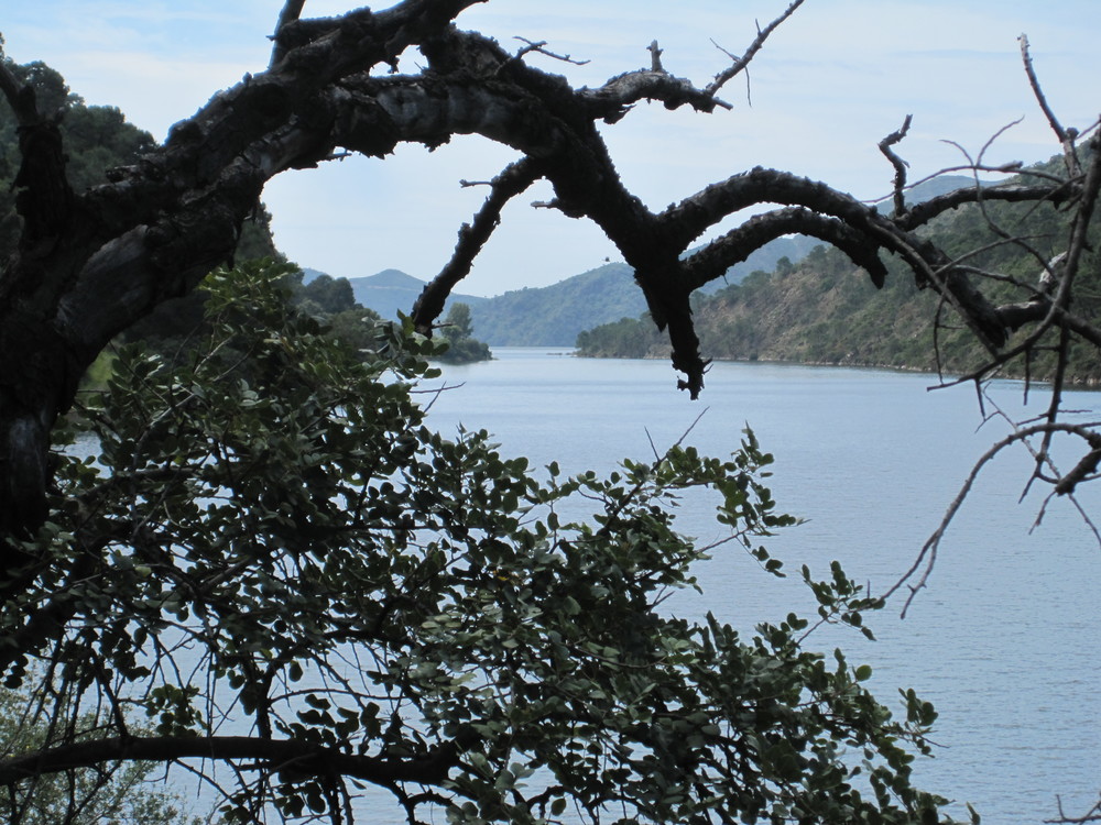 Embalse de la Concepción<br /><a href="photo10.kml">See on Google Earth</a><br /><br />