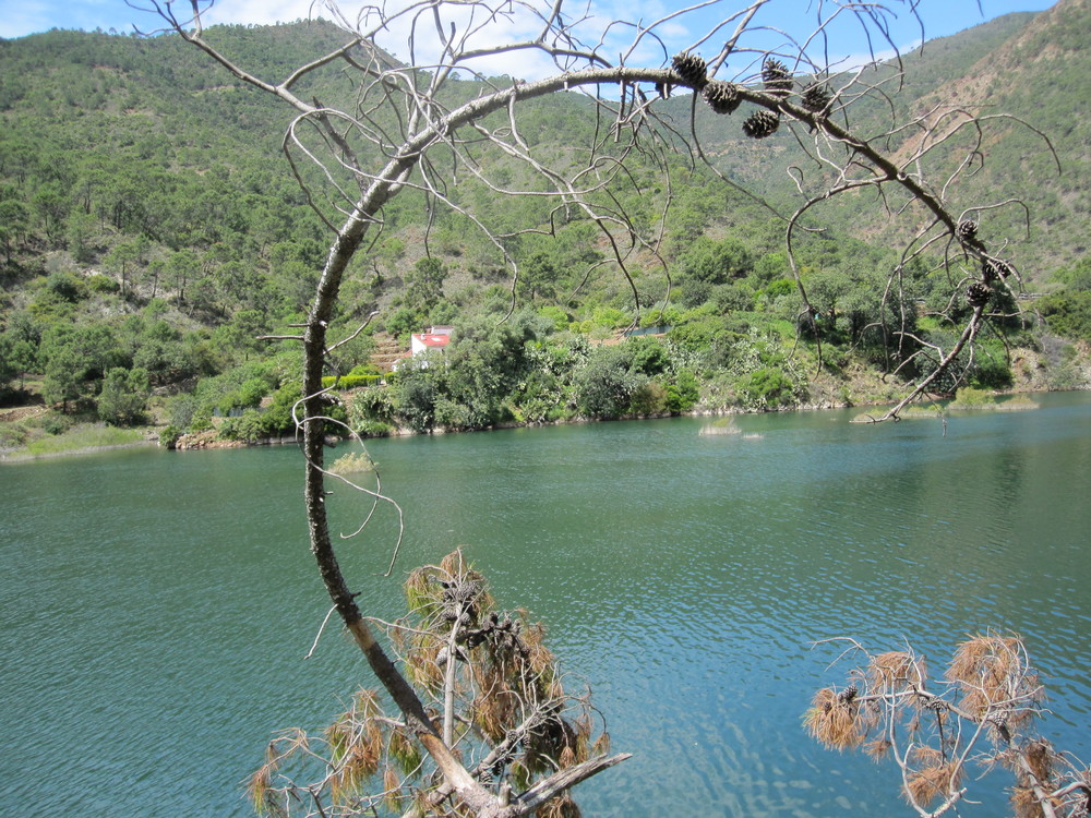 Embalse de la Concepción<br /><a href="photo12.kml">See on Google Earth</a><br /><br />