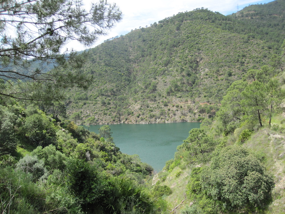 Embalse de la Concepción<br /><a href="photo13.kml">See on Google Earth</a><br /><br />