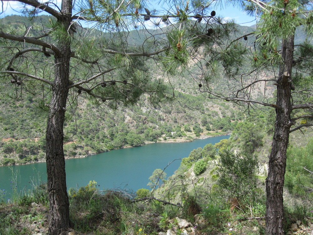 Embalse de la Concepción<br /><a href="photo14.kml">See on Google Earth</a><br /><br />