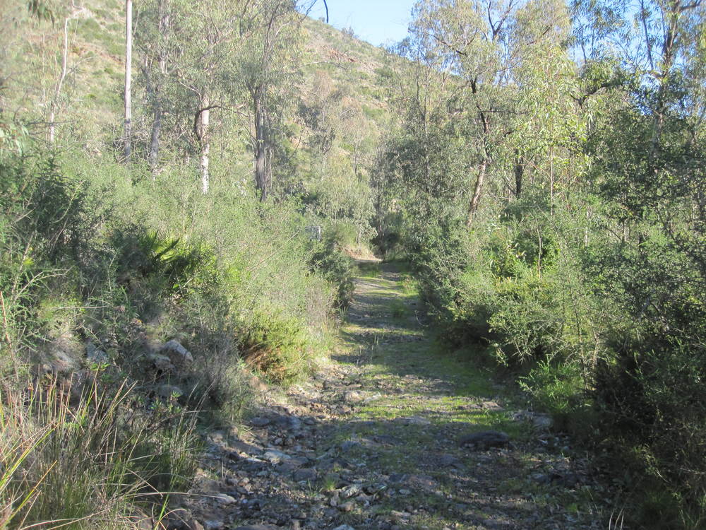 The path to the source tank<br /><a href="photo09.kml">See on Google Earth</a><br /><br />