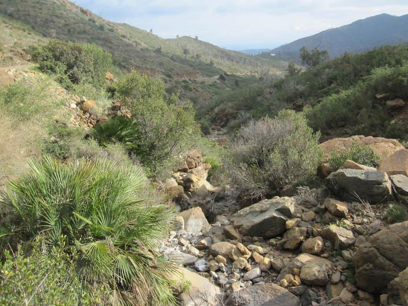 Another view of Arroyo del Laurel which later becomes the Ojén River<br /><a href="photo03.kml">See on Google Earth</a><br /><br />