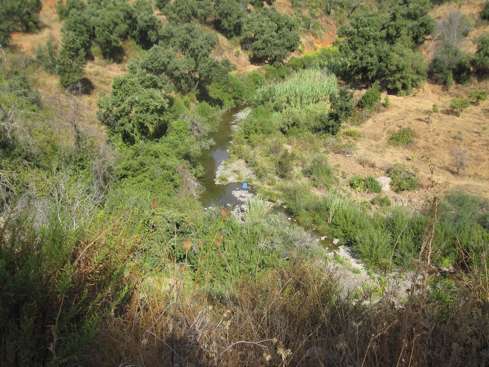 Someone was sunbathing in the river<br /><a href="photo21.kml">See on Google Earth</a><br /><br />