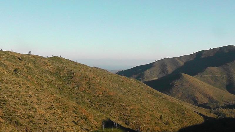 Trees marching along the skyline<br /><a href="photo11.kml">See on Google Earth</a><br /><br />